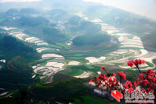 英山风光