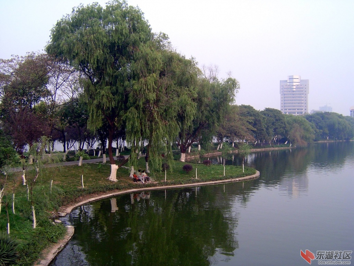 风景美如画·沙市中山公园·记荆州市创建国家园林城市