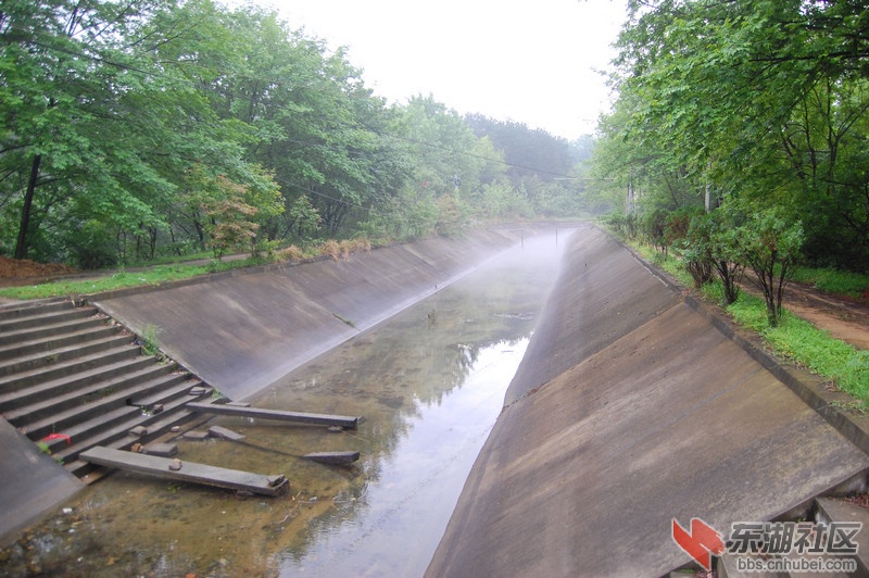 新洲道观河