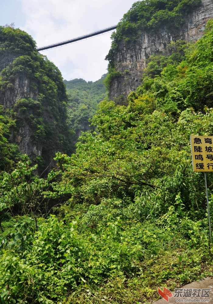 长阳兰草谷 - 宜昌论坛 - 东湖社区 - 荆楚网