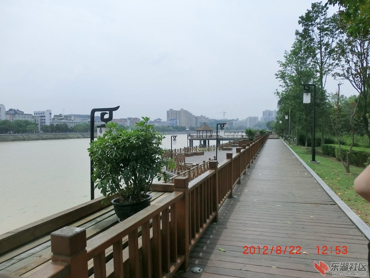 河心公园的完美英姿 - 中部崛起 - 东湖社区 - 荆楚网