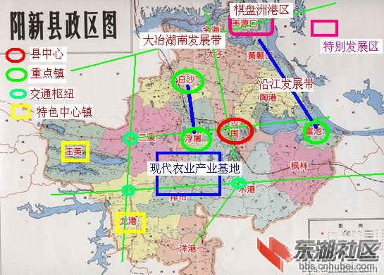 焦点——阳新区域发展规划图