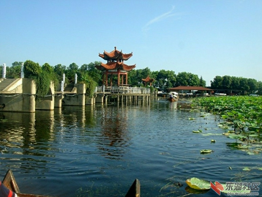 汉川刁汊湖美景