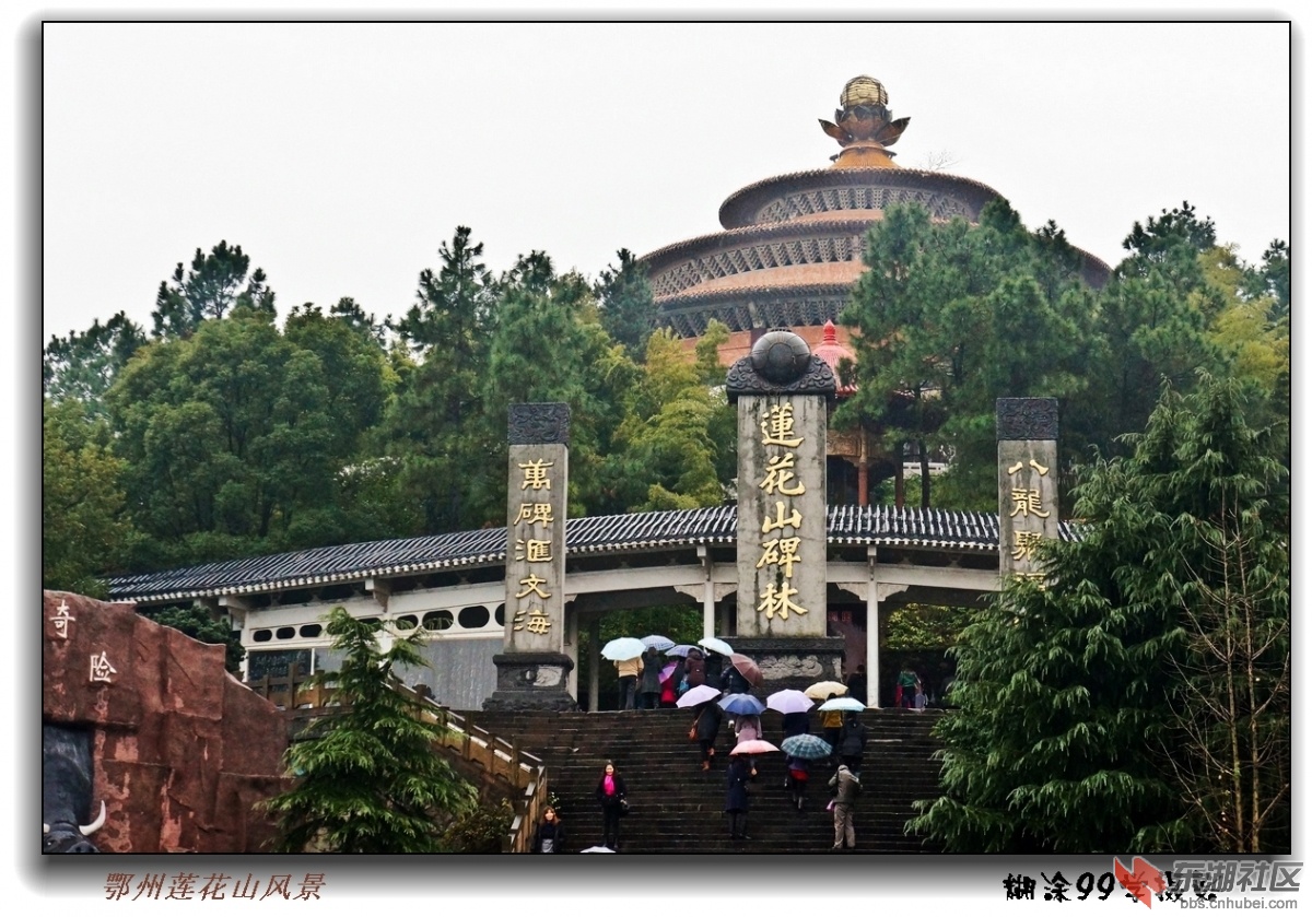 鄂州莲花山采风 - 大话鄂州 - 东湖社区 - 荆楚网