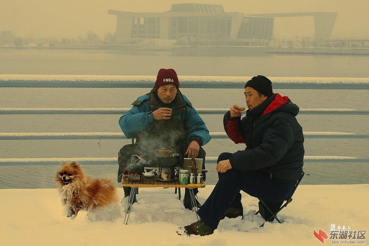 雪中即景诗歌