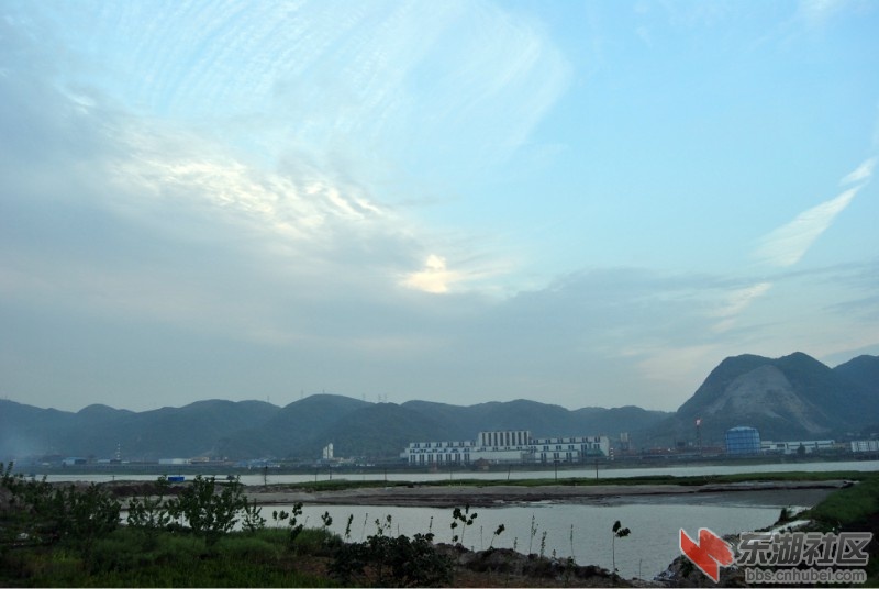 鄂东滨江新区 散花别有韵味的风景图