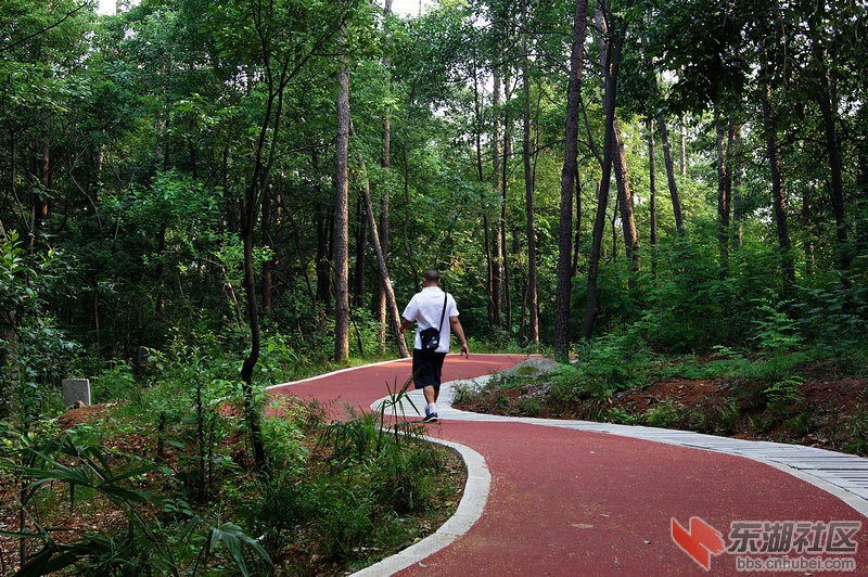 襄阳——岘山绿道随拍