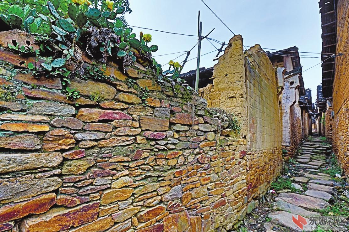 东线景区内剥岸村小溪岭青石铺道,石墙黛瓦的民居群.