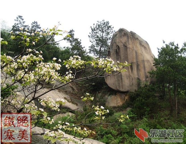 大悟刘集铁寨风景区将在五月份开园营业了