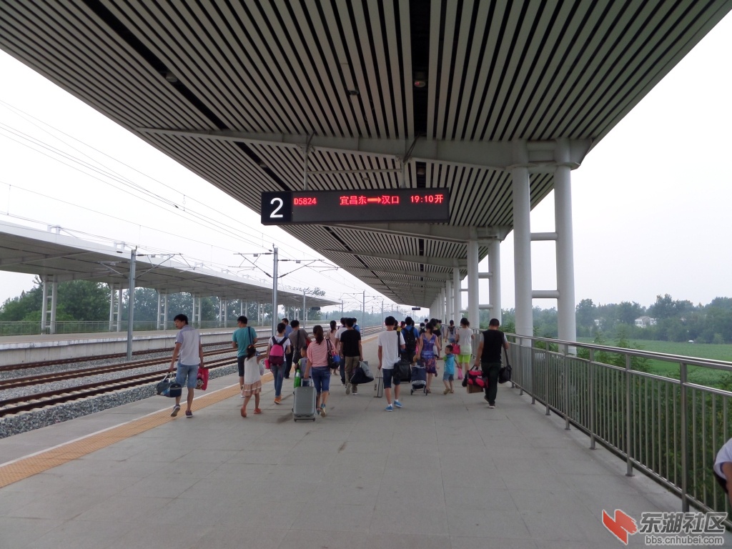 16仙桃西站—武汉之旅 最新图片!