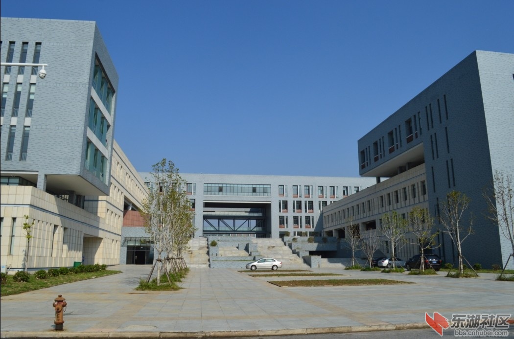 又去长江大学武汉校区,校内增加了不少绿色和人气