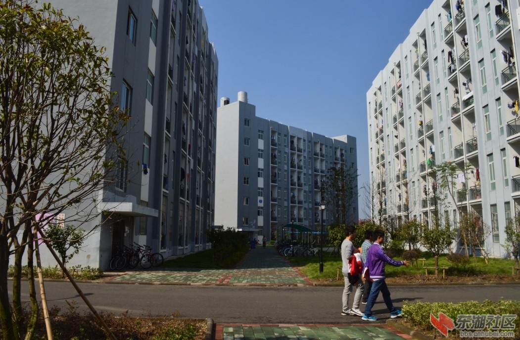 又去长江大学武汉校区,校内增加了不少绿色和人气