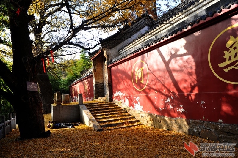 秋游枣阳白竹园寺丨