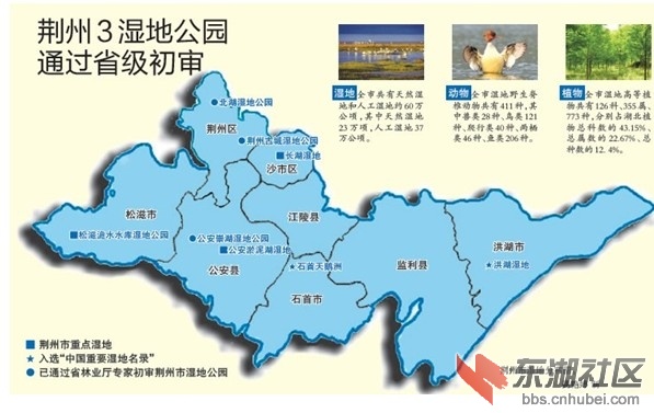 近期,省林业厅湿地保护管理中心专家组来到荆州,实地考察了荆州市图片