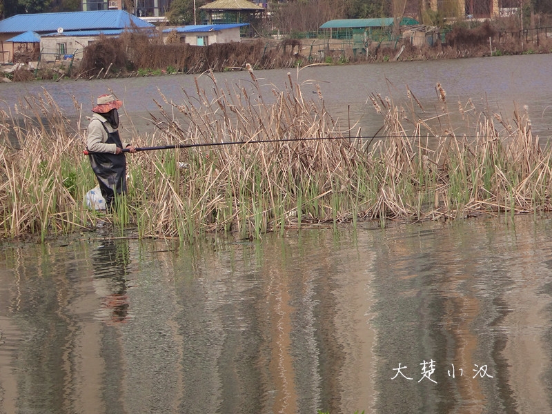 沙湖钓鱼人