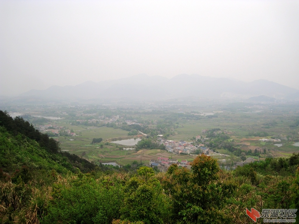 大冶陈贵小雷山