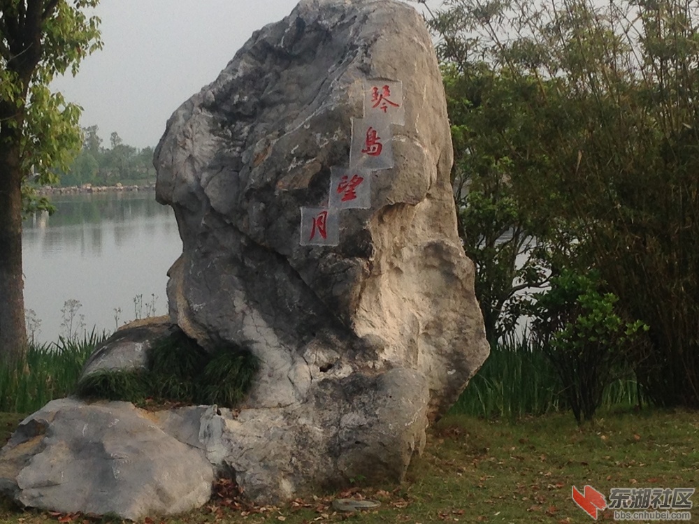 实拍遗爱湖十二景之花港春晓和琴岛望月景区