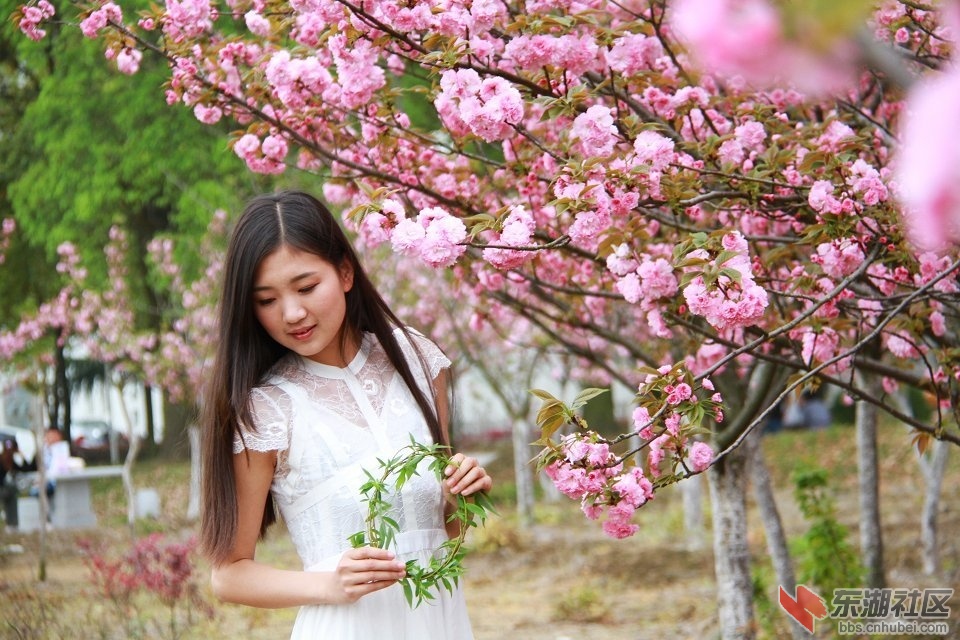 黄冈师院樱花园里的纯纯学妹!