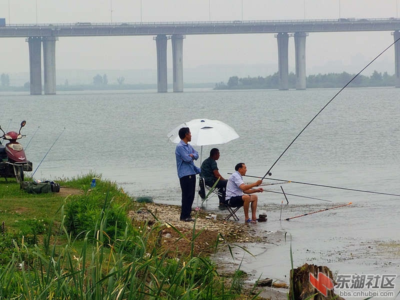 江边钓鱼 襄阳吃喝玩乐 东湖社区 荆楚网