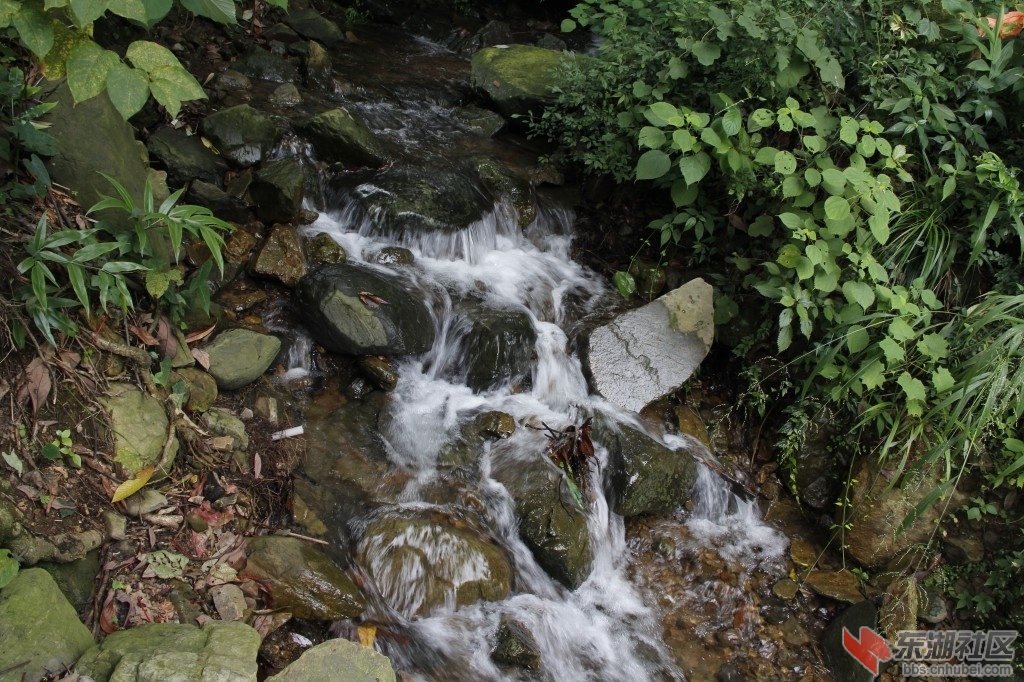 山间溪流