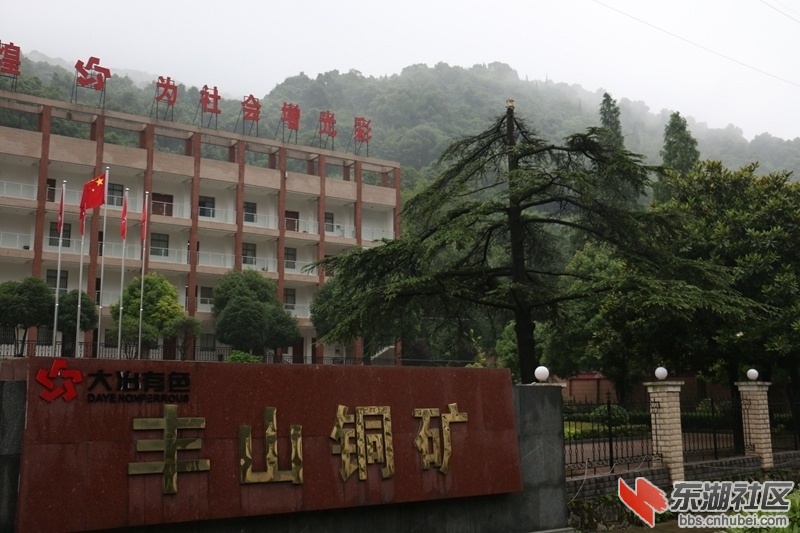 荆楚网友走进丰山铜矿网友活动汇报合集