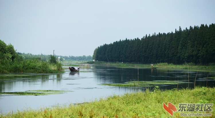 沉湖外景 汉川论坛 东湖社区 荆楚网