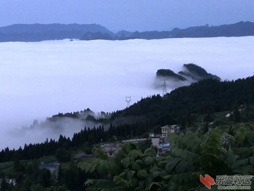 利川大茅坡云海