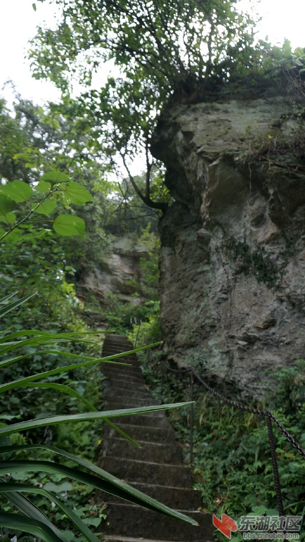 谷城大薤山