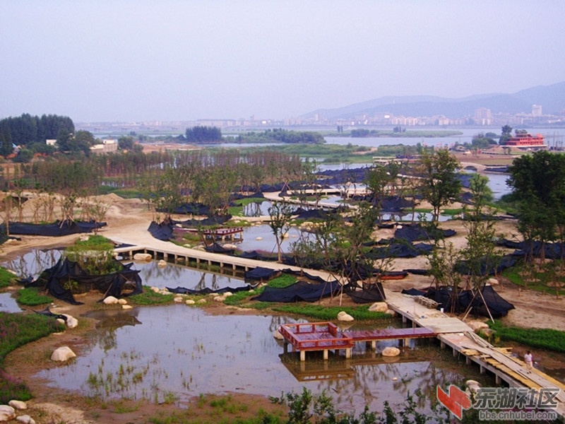 月亮湾湿地公园新景 - 襄阳摄影 - 东湖社区 - 荆楚网