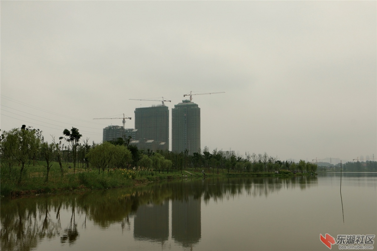 大冶尹家湖景观带随拍(图)