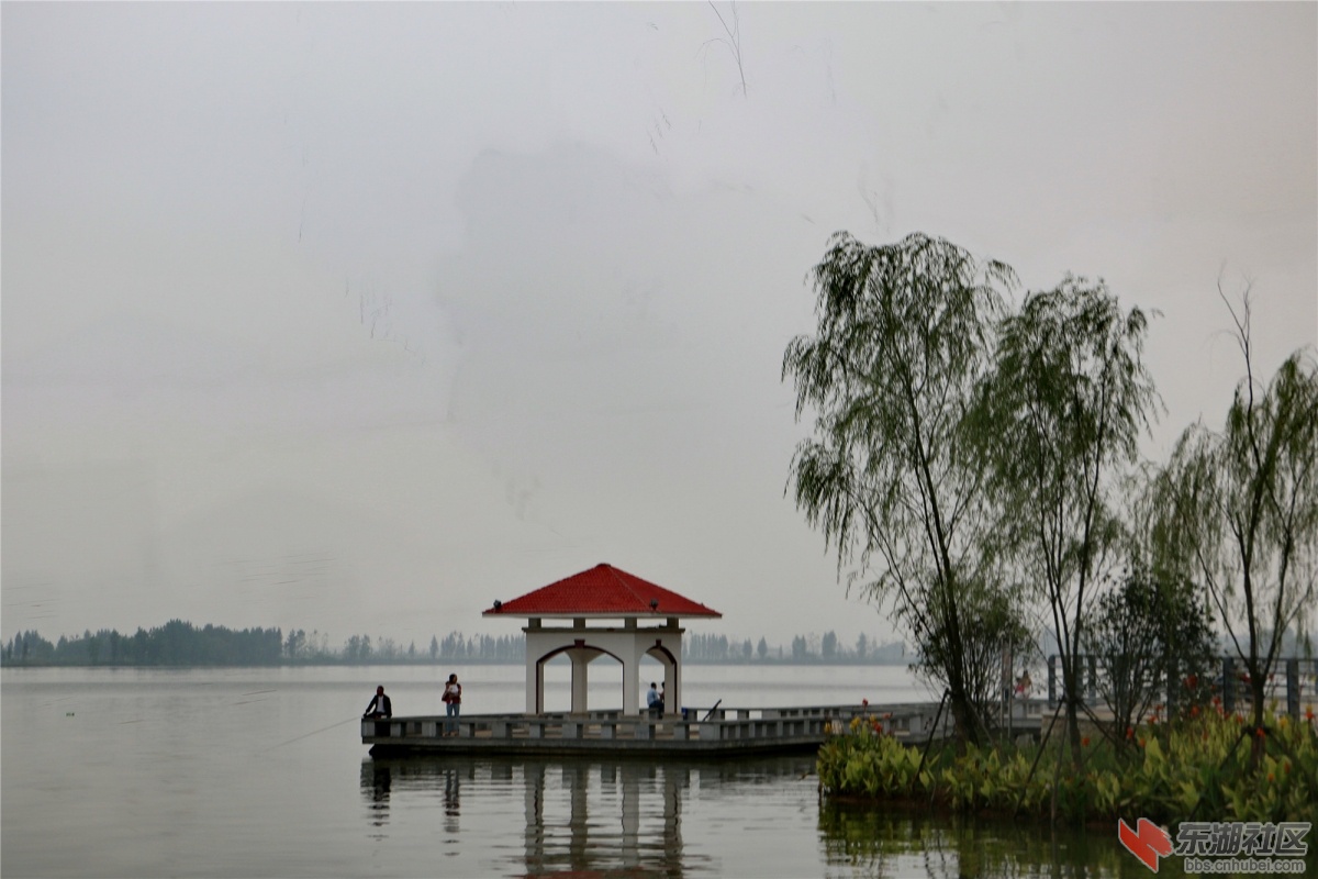 大冶尹家湖景观带随拍(图)