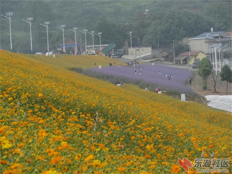 大冶市茗山镇中国乡村园博会主会场部分场景图片