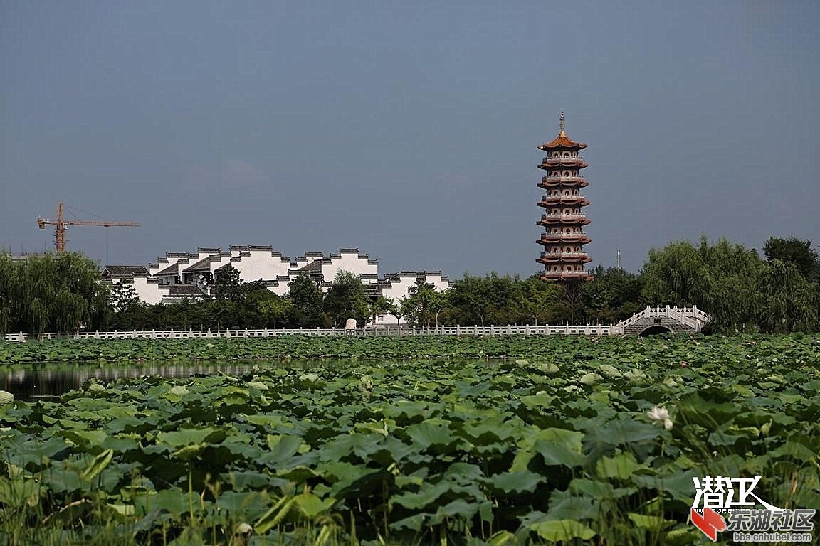 潜江城市风光大合集图片不断更新中