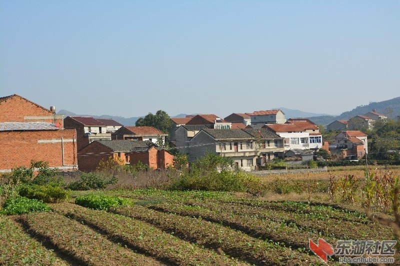 记忆梅川记住乡愁系列报道之十七卢子珍村a