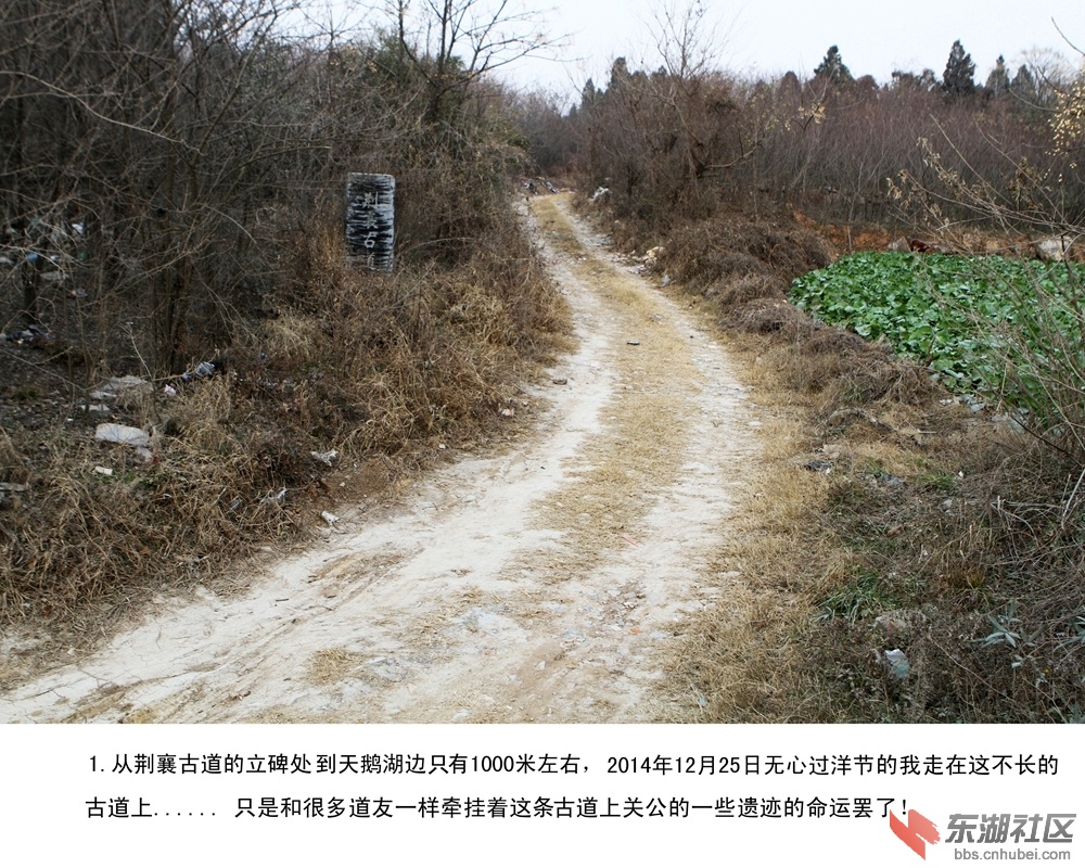 关于"抢救保护荆襄古道关公遗迹 打造关公文化园"的提案