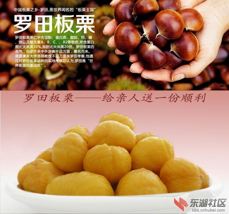 罗田板栗