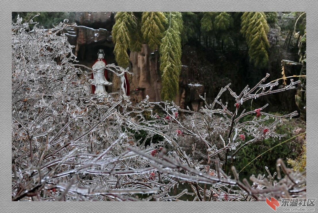 2015年第一场雪东方山(由网友阳光―杨三杰等老师拍摄