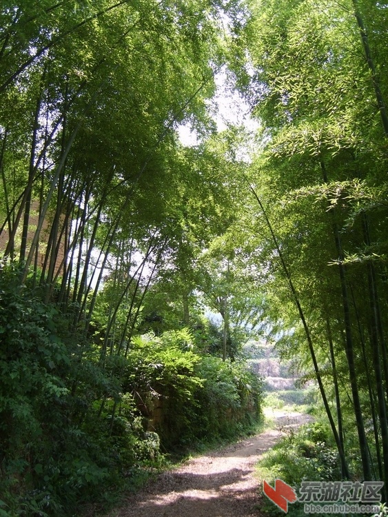 黄梅旅游·古十景之双峰山