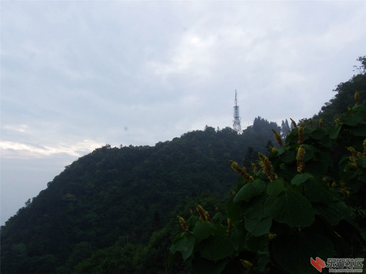 避暑胜地---谷城大薤山