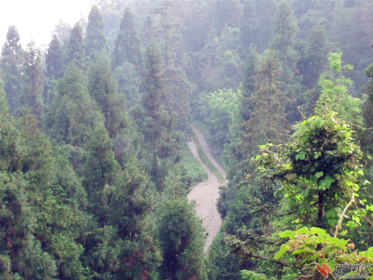 避暑胜地---谷城大薤山