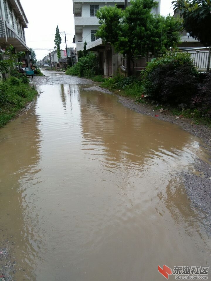 黄梅县蔡山镇周上屋村马路淹死人.