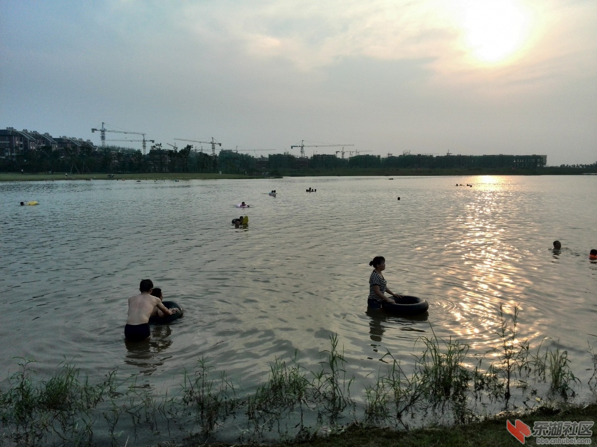 小池远景图两张 黄梅论坛 东湖社区 荆楚网