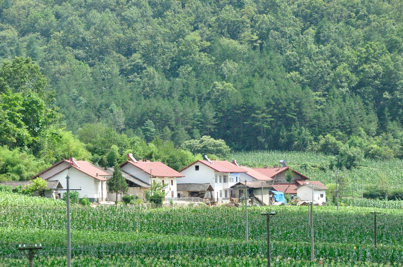 兴山县榛子乡(田园秀色)