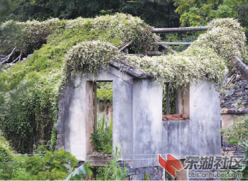 牺牲乡村繁荣城市前景堪忧