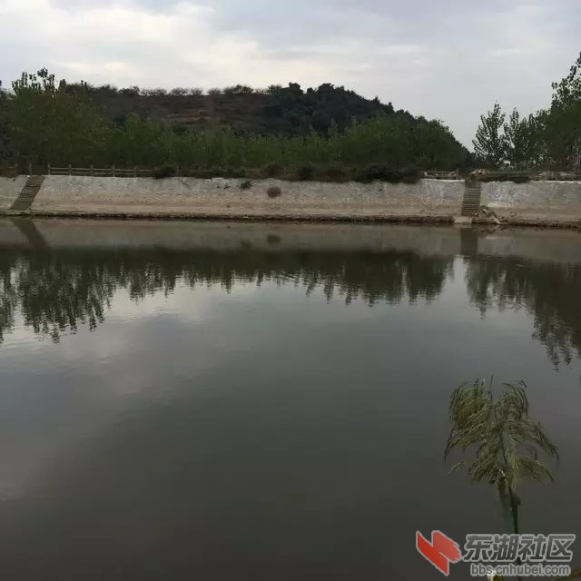 乡村生态水库垂钓园-四面环山空气好