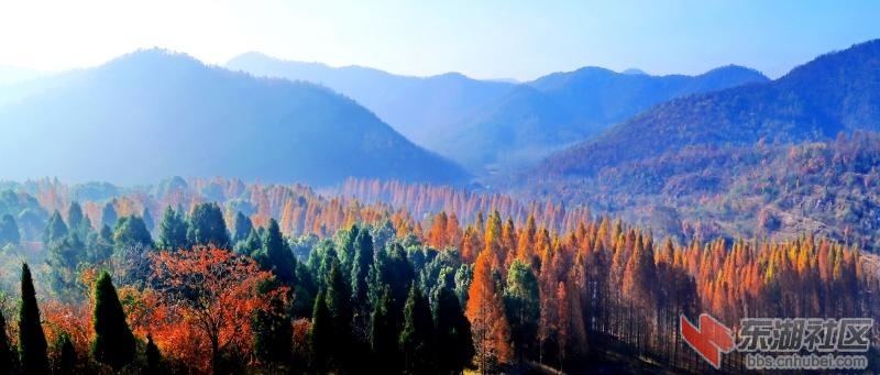 生态京山京山风景展示