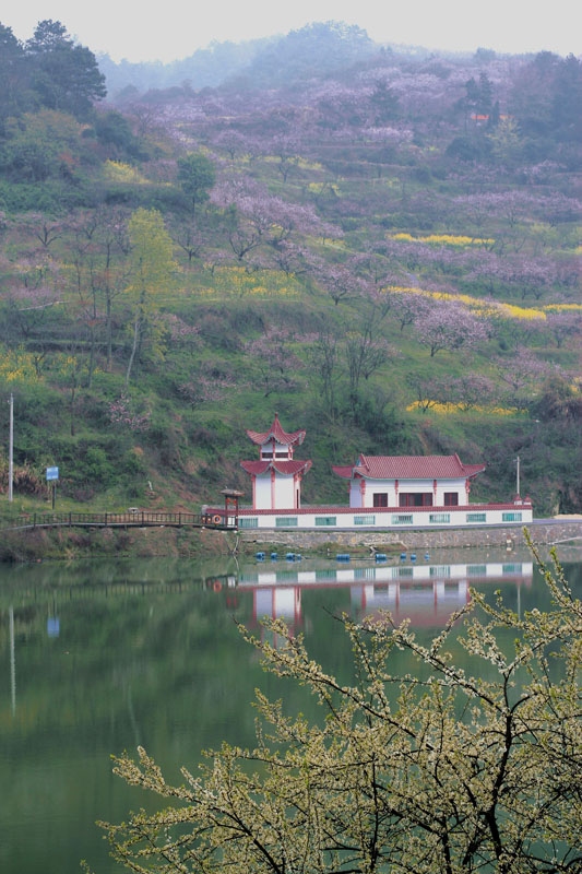 大冶沼山村