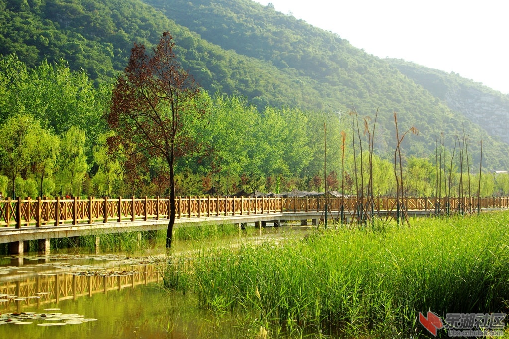 磁湖湿地公园一瞥