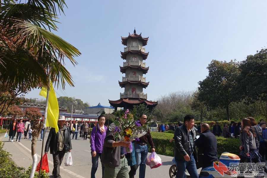 清明扫墓手捧鲜花祭先灵 - 大武汉 - 东湖社区 - 荆楚网