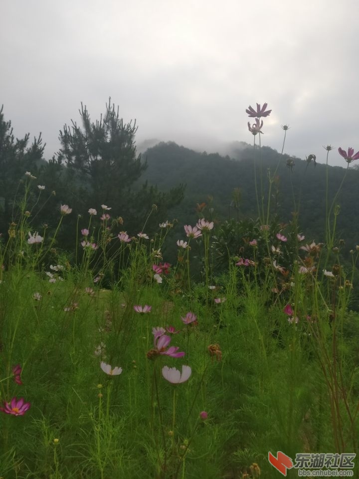 十堰花果山景区游记